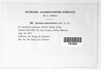 Image Associated With the Occurence